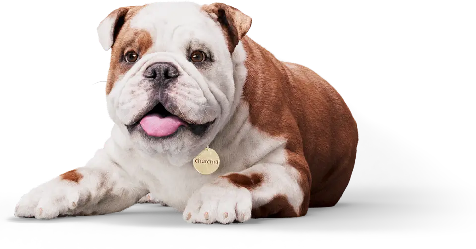 Churchill