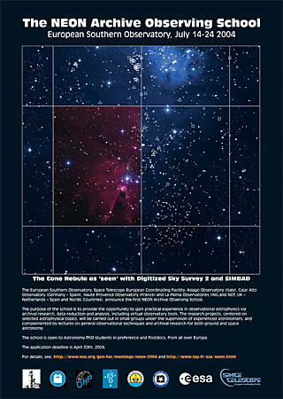 The NEON Archive Observing School