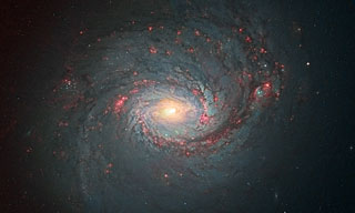 M 77