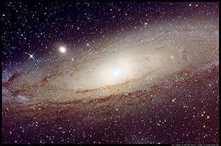 M31