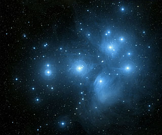 The Elegant pleiades