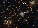 A Menagerie of Galaxies