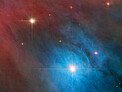 Tempestuous Young Stars in Orion