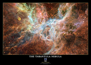 The Tarantula Nebula