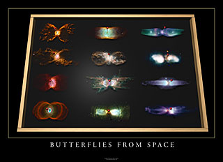 Butterflies from Space