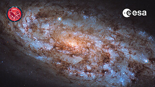 Virtual Meeting Backgrounds: Hubble + ESA