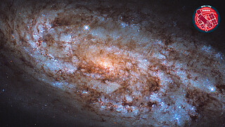 Virtual Meeting Backgrounds