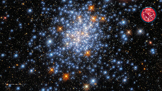 Virtual Meeting Backgrounds