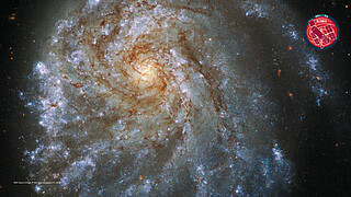 Virtual Meeting Backgrounds