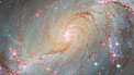 Pan: NGC 1672