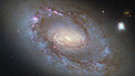 Pan: NGC 4102